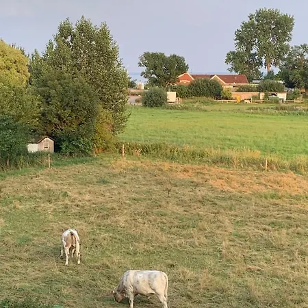 Meerblick Im Witten Hus Thiede Apartment
